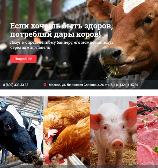 Дизайн сайта интернет-магазина хозяйственной химии